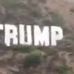 trump sign hollywood.mp4