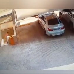122091198_623915734968665_6130903346443005436_n.mp4