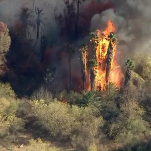 Instagram post by KTLA 5 News • Dec 21, 2017 at 9:49pm UTC
