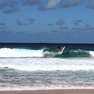 Scott Holmes
