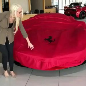 SUPER EXOTICS CARS
