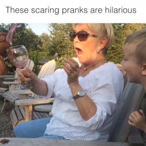 Howlers