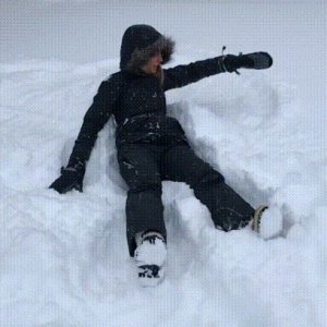 Dog making snow angel