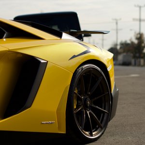 Yellow beauty