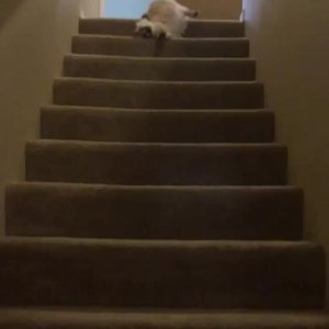 Going downstairs