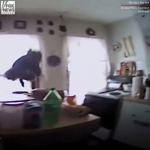 Fox News on Twitter