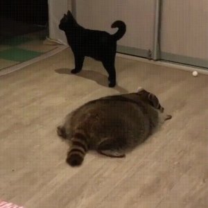 Stealth attack