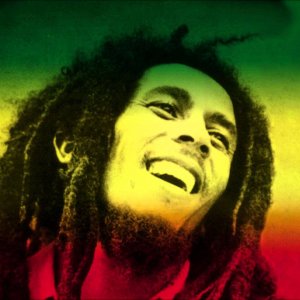 Three Little Birds ( Don't Worry About a Thing ) - Bob Marley