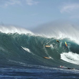 Instagram post by Surfline • Jan 15, 2018 at 12:22am UTC