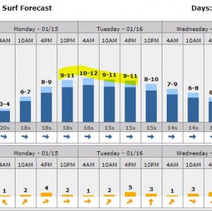 Surfs Up