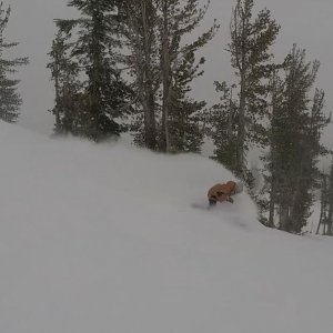 Instagram post by Mammoth Mountain • Dec 20, 2017 at 10:57pm UTC