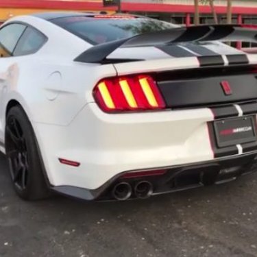 Best Mustangs on IG  on Instagram: “GT350R Music   Follow @socialmustang for more Mustangs _________ : @mustangmannylv _________ Check out these pages   @mustang_hunters…”