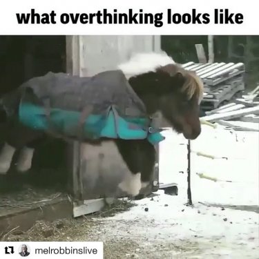 Lara Trump on Instagram: “Also, why I love horses  #HappyMonday”