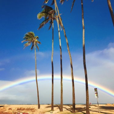 ✈️⛵️ on Instagram: “Novo dia  #hawaiilife #bestvacations #goodvibes #inlovehawaii #adventuretimes #alohaoutdoors #hawaiilife #hawaiandreams…”