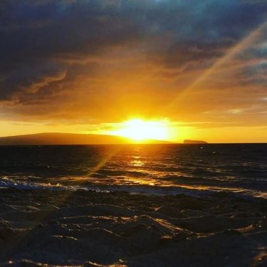 Kelly Slater on Instagram: “Last sunset of the year with @kalanimiller. Wishing you all a #HappyNewYear. The calendar changes nothing but hopefully more of us every…”