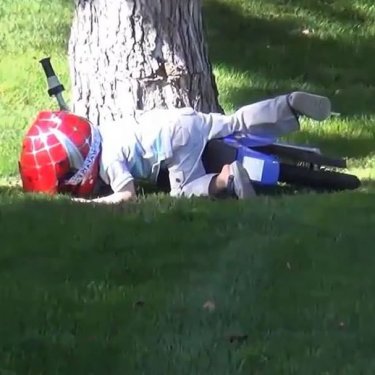 Braap Feed on Instagram: “Tree 1 - little fella 0#braapfeed for a feature!”