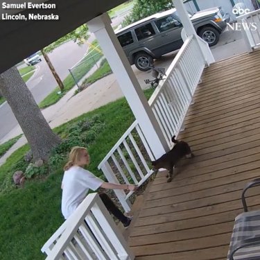 CAT BURGLAR