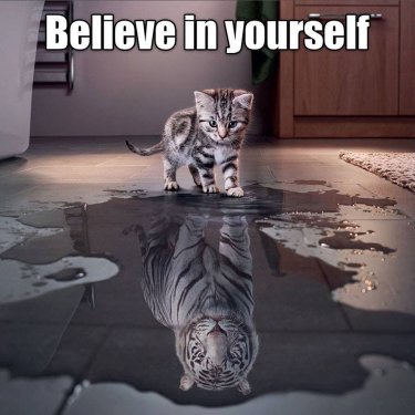 #believeinyourself
