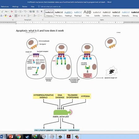 A different mechanism for Imetelstat, How this leads to Apoptosis, and Venetoclax+Imetelstat