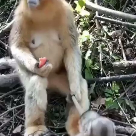 LOLBOOK on Twitter : “Mom just wants to sit and eat for a minute.