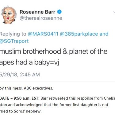 #RoseanneBarr Goes on Wild (And Racist) Tweetstorm About Clintons, George Soros, Chris Cillizza