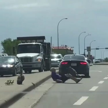 @videoviralz on Instagram: “When trying to help goes wrong  • • •…”