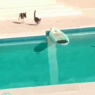 ⚠️ DANGER | FOLLOW NOW ⇧⇧⇧ on Instagram: “See ya - - - #fails#fail#danger#dangerous#extreme#viral#virals#crazy#funny#amazing#hazard#ouch#damn…”