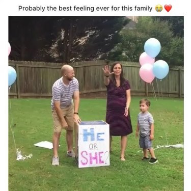 Proposals  Gender Reveal  on Instagram: “Follow me @p.ropose for more ✨sigueme @p.ropose para mas ✨”
