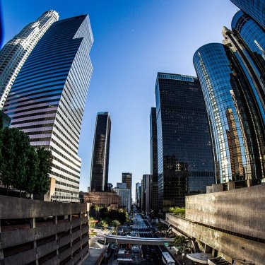 Gus Martinez on Instagram: “Among giants!#losangeles #urbanlife #adventuresinla #cityofangels #photographsthattellsstories #gmtzphotography”