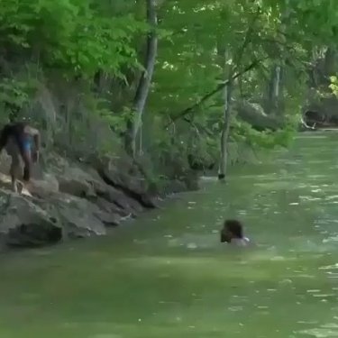 Barstool Sports on Instagram: “Gator, meet mr. elbow coming to you live from the top rope #ChubbsWouldBeProud @barstooloutdoors”