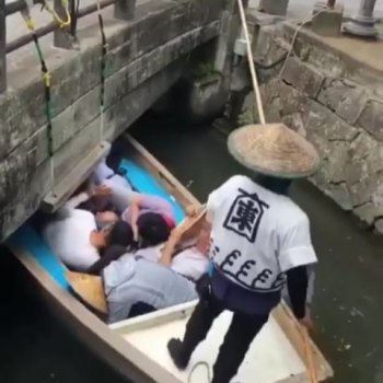 @videoviralz on Instagram: “Caption this japaninsides/Facebook • • •…”
