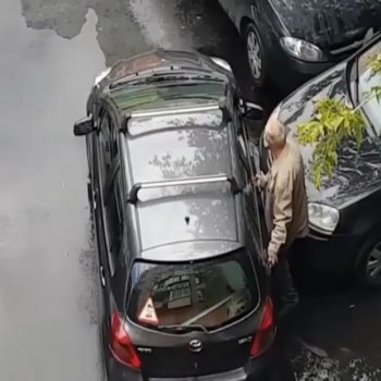 @videoviralz on Instagram: “Tag someone who can't park! • • •…”