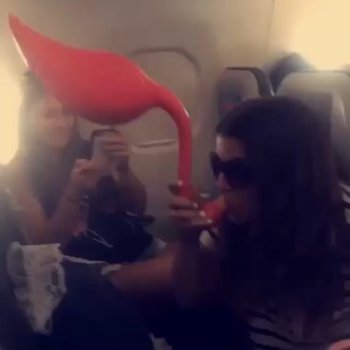 Barstool Sports on Instagram: “You see this on your plane, you know it’s about to be a looooooooong flight @chicksinthewild”