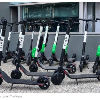How Bird plans to spread its electric scooters all over the world