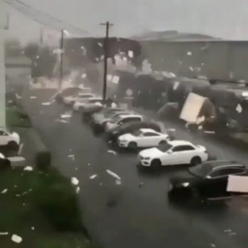 WORLD TALENT WEB on Instagram: “Meanwhile in Japan   don’t drive during a hurricane especially if your car is made of plastic! ✨✨✨ Follow  @worldtalentweb…”