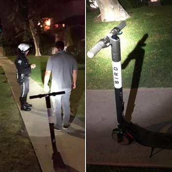 Man charged with DUI in Santa Monica while riding Bird scooter. Don't ride while under the influence! : SantaMonica