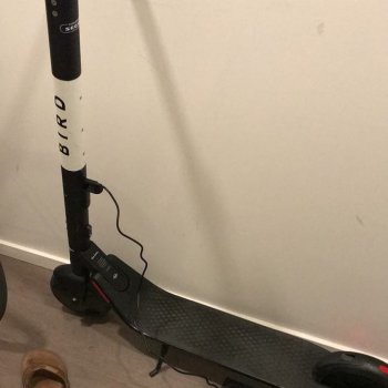 Bird is using Segway-Ninebot too