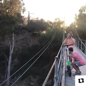 Scooters Behaving Badly on Instagram: “#scooterwars #scootersbehavingbadly #birdgraveyard #limebike #limescooter #limenation #escooter #electricscooter #dockless #scootersharing”