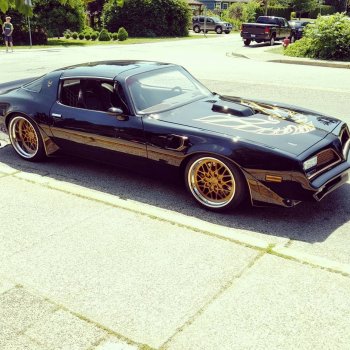 Donkey on Instagram: “Bandit #transam#bandit#pontiac#firebird#smokeyandthebandit#fastandfurious #forgeline#lsx#protouring#stance#offset#americanclassic…”