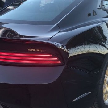 Trans Am Depot on Instagram: Beautiful black super duty with glass t- tops so you can see the sky.  #transam #transamsuperduty #455 #1000hp #bandit #scca #sema #sema18…”
