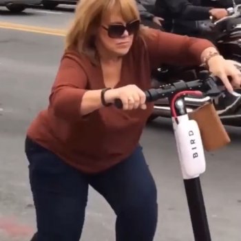 Scooters Behaving Badly on Instagram: “An absolute gem from @birdgraveyard. #birdscooters #befreewithbird #scootersbehavingbadly #nashville #tennessee #birdscooter #funny #humor…”