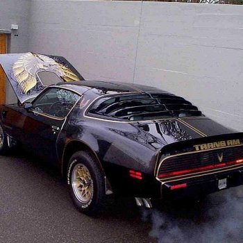 Pontiac Firebird Trans Am on Instagram: “Doesn't get better than This~Via @transamuae--Follow @pontiac_firebird_transam for more.”