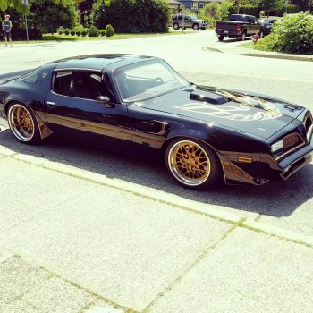Pontiac Firebird Trans Am on Instagram: “Bandit~Via @donkeyfixit--Follow @pontiac_firebird_transam for more.”