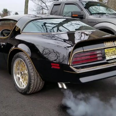 “Look'n & Sound'n Awesome -TransAm!  vid via: @duanewatlington  Show some support... .⬇⬇. Follow @fbodysforever for the coolest Firebird…”