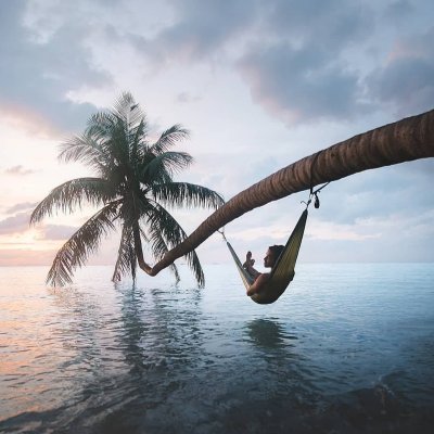 Travel  NatureAnimals