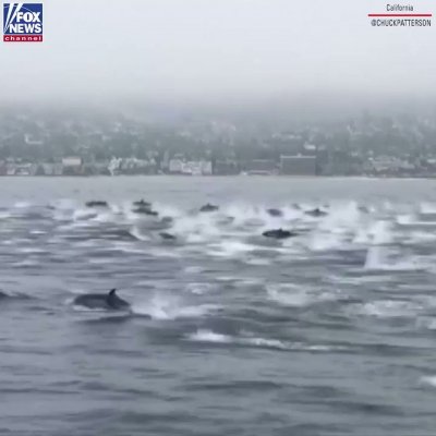 FOX 11 Los Angeles on Twitter