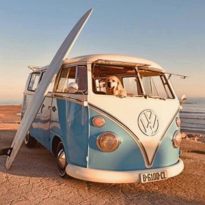Surfing Chill Vibes on Instagram