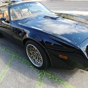 Deviousdesignslv on Instagram: “1979 mint trans am #1979transam #transam #smokeyandthebandit #wetpaint @deviousdesignslv.com”