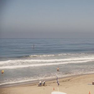 Surfline on Instagram: “Nature was on full display earlier today just off Del Mar Beach. ????: #SurflineCamRewind”