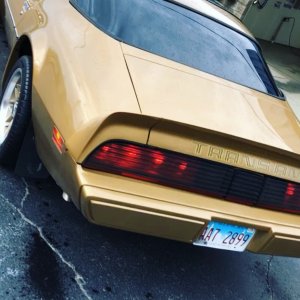 Liridon Ilazi™️ ???????? on Instagram: “#1979transam #pontiac455power #7.5litre #firebird”
